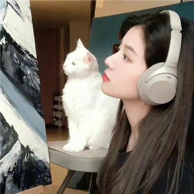 护士的征婚 封面