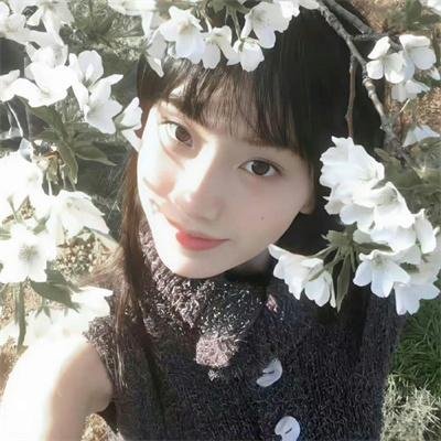 波兰舞者 封面